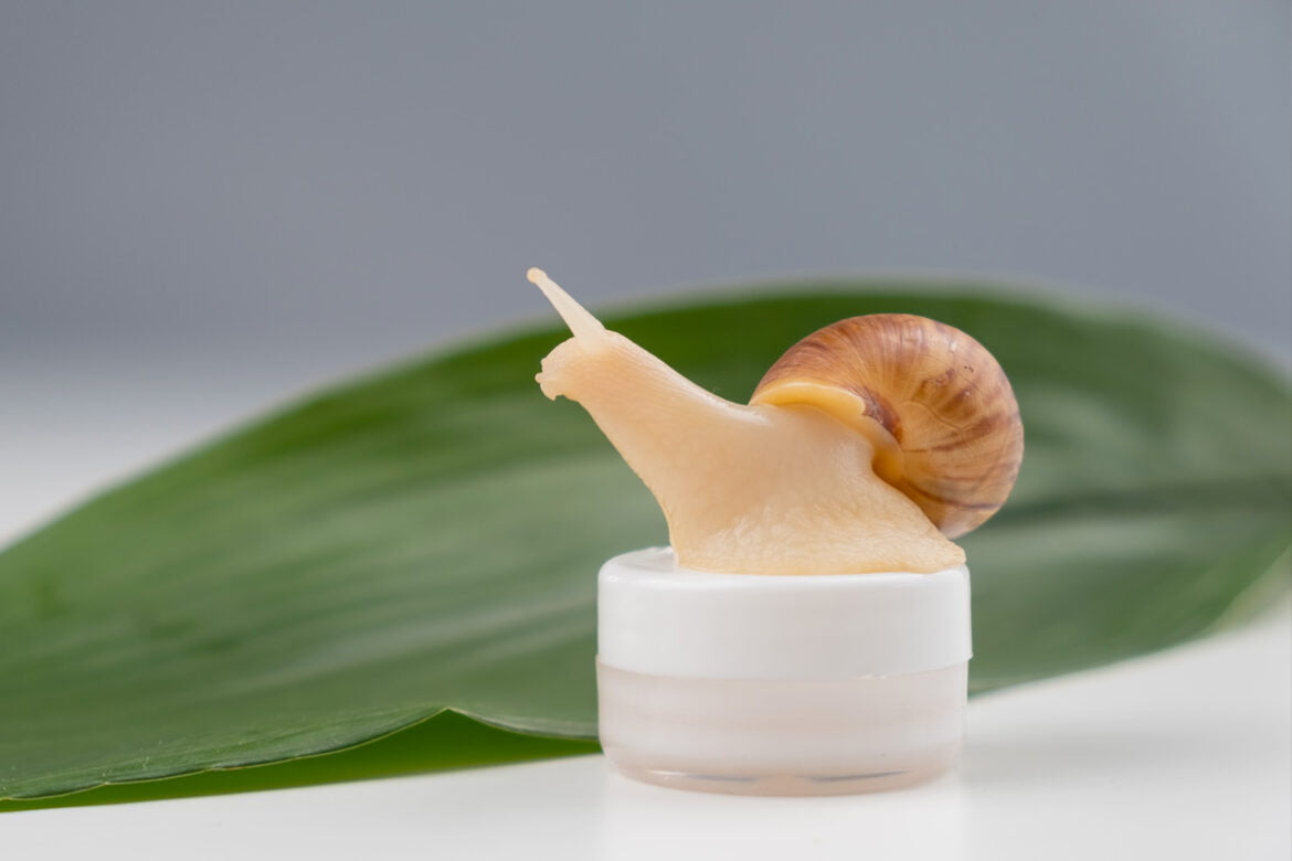 snail slime properties benefits