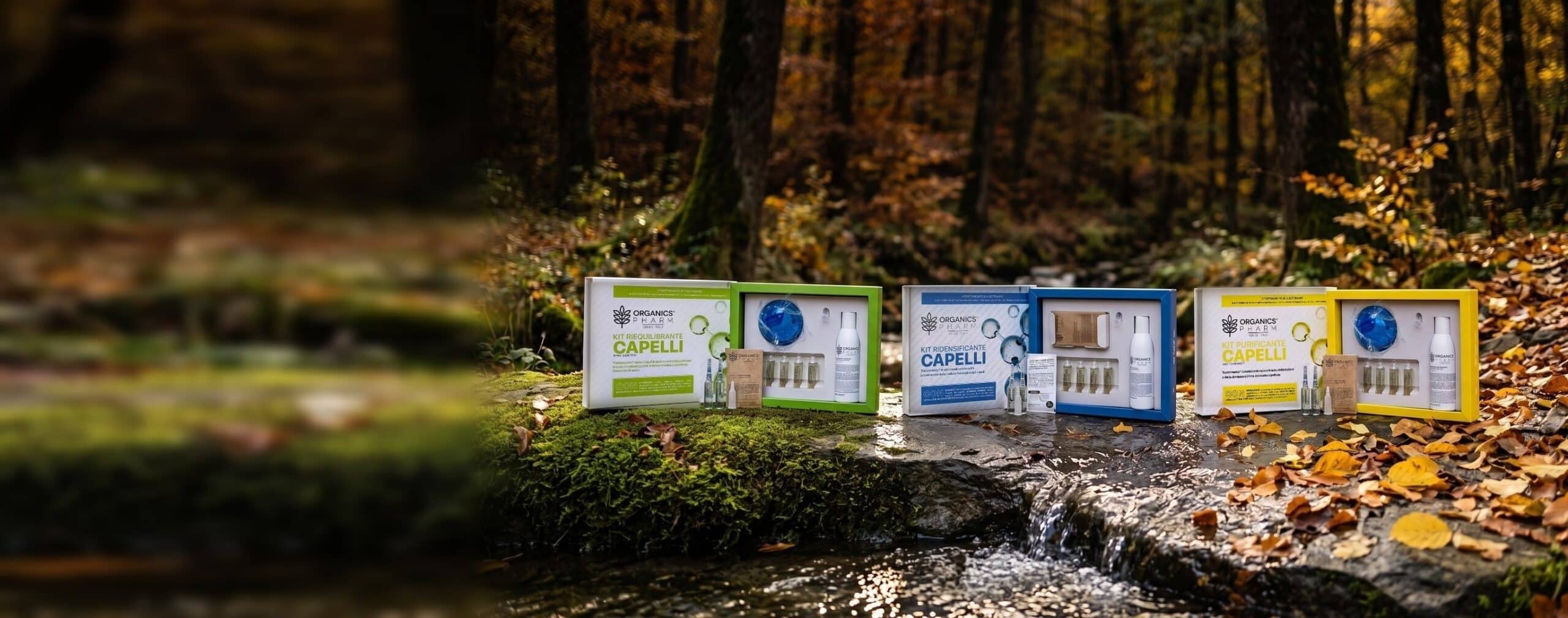 Kit Riequilibrante, Ridensificante e Purificante Organics Pharm su una pietra nel bosco in autunno